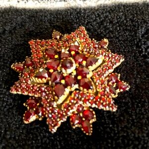 Vintage Star ⭐️ like Garnet Brooch,very lovely